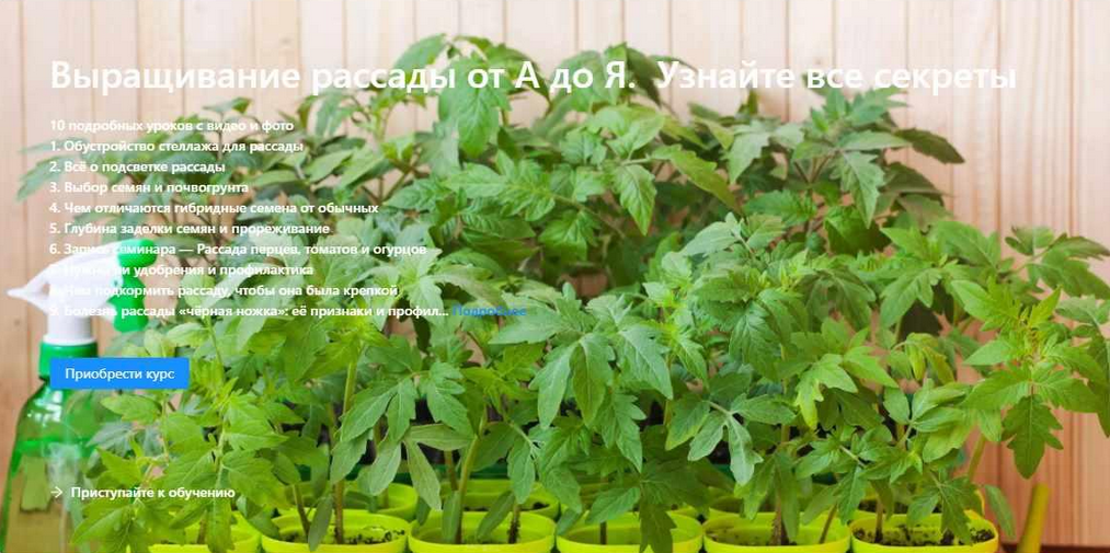 [Онлайн АгроЭкоШкола Садоводов] Выращивание рассад_0.png